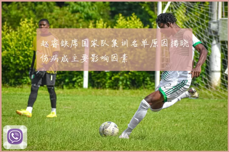赵睿缺席国家队集训名单原因揭晓伤病成主要影响因素