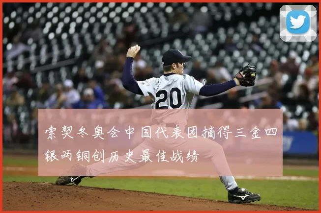 索契冬奥会中国代表团摘得三金四银两铜创历史最佳战绩