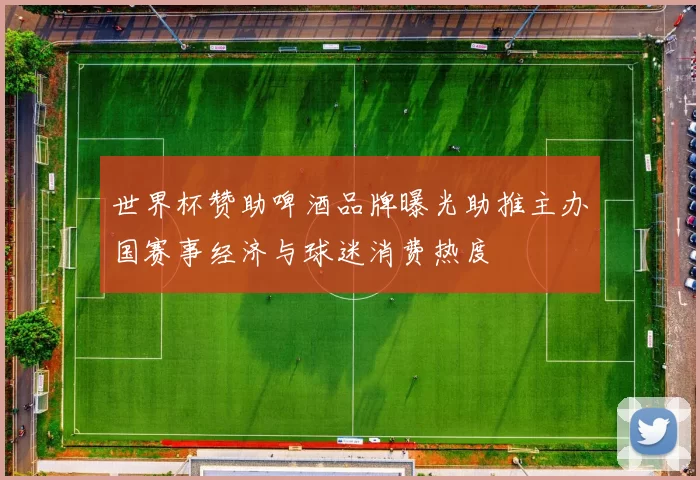 世界杯赞助啤酒品牌曝光助推主办国赛事经济与球迷消费热度