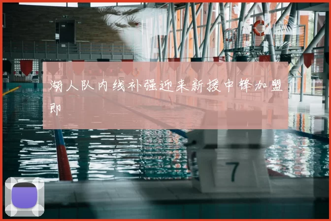 湖人队内线补强迎来新援中锋加盟即