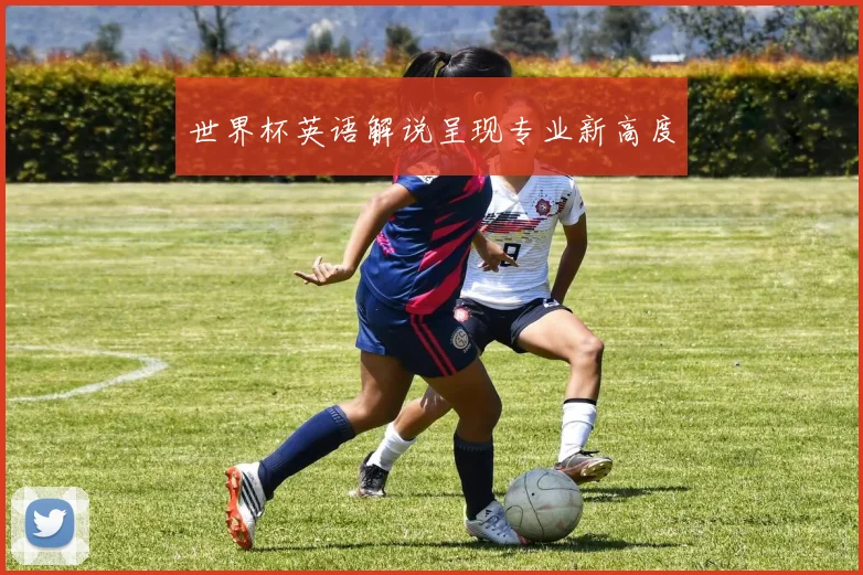 世界杯英语解说呈现专业新高度