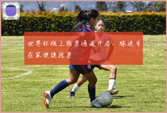 世界杯线上购票通道开启,球迷可在家便捷抢票